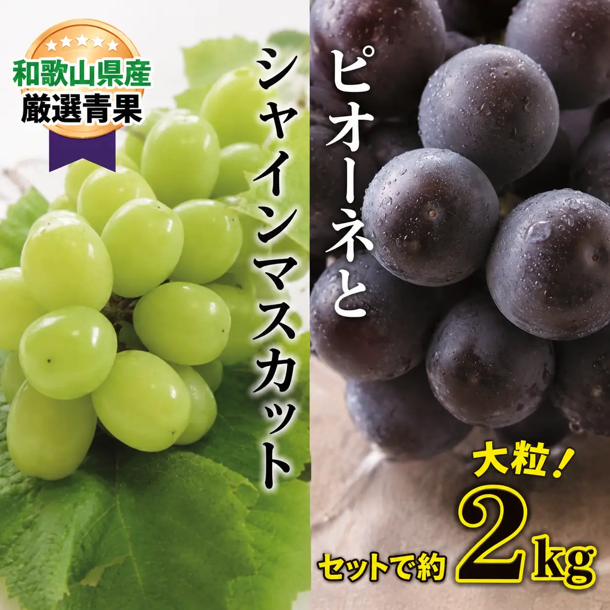 大人気 ぶどう セット 約2kg入 シャイン＆ピオーネ 【8月上旬～下旬発送】【A218-frks114】