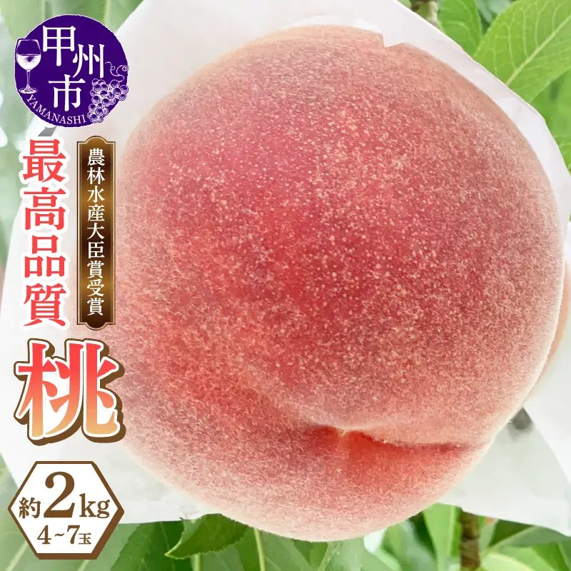農林水産大臣賞受賞経験のある最高品質の桃を感謝を込めて朝どれでお贈りします！約2kg（4～7玉）【2026年発送】（LMS）B12-475 桃 フルーツ