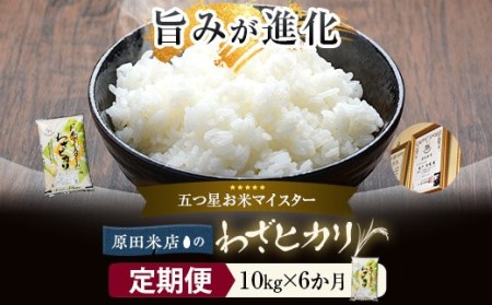 【6ｶ月定期便】 わざヒカリ10kg(5kg×2) 米 KSR-603