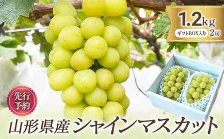 《2026年発送 先行予約》 山形県産 シャインマスカット 2房 1.2kg マスカット ぶどう ブドウ 葡萄 デザート フルーツ 果物 くだもの 果実 食品 山形県 FSY-0579