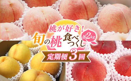 【2026年先行予約 定期便3回】 桃が好き！旬の桃食べつくし定期便 各2kg FSY-2388