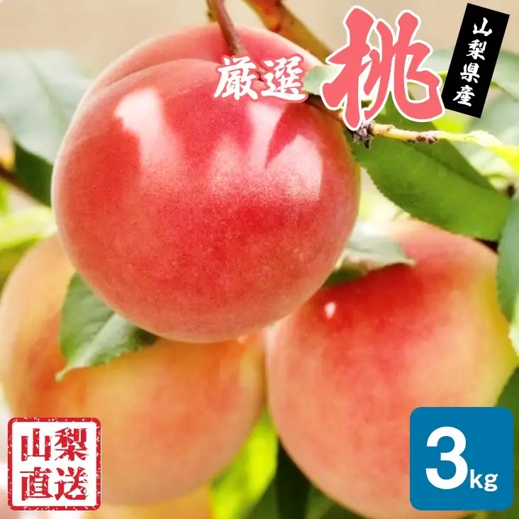 【2026年発送★先行予約】厳選!!池田青果の桃　3kg　8～13玉 173-005