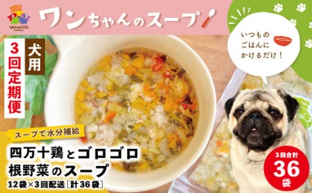 26-433．【3回定期便】いつものごはんにかけるだけ！四万十鶏とゴロゴロ根野菜のスープ 12袋セット×3回配送（合計36袋）【ペットフード】
