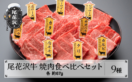 焼肉食べ比べセット 【最大6ヶ月待ち】 焼肉 尾花沢牛 A4-5 9種 約3~4人前 nj-og9ys