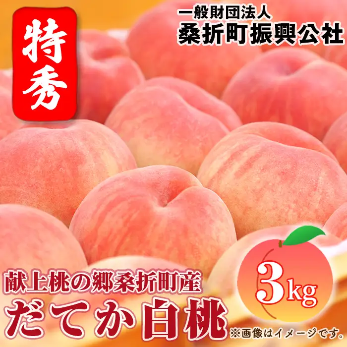 もも【だてか白桃・2026年産】特秀3kg（8～11玉）桑折町振興公社　桃 ／ モモ 果物 くだもの フルーツ 甘味 果汁 ジューシー 桑折 こおり こおりまち 福島県 特産品 ／ もも モモ 果物 フルーツ 旬 甘い 甘み ジューシー 果肉 果汁 新鮮 フレッシュ デザート おいしい 産地直送 桑折 こおり こおりまち 福島県 特産品 No.180