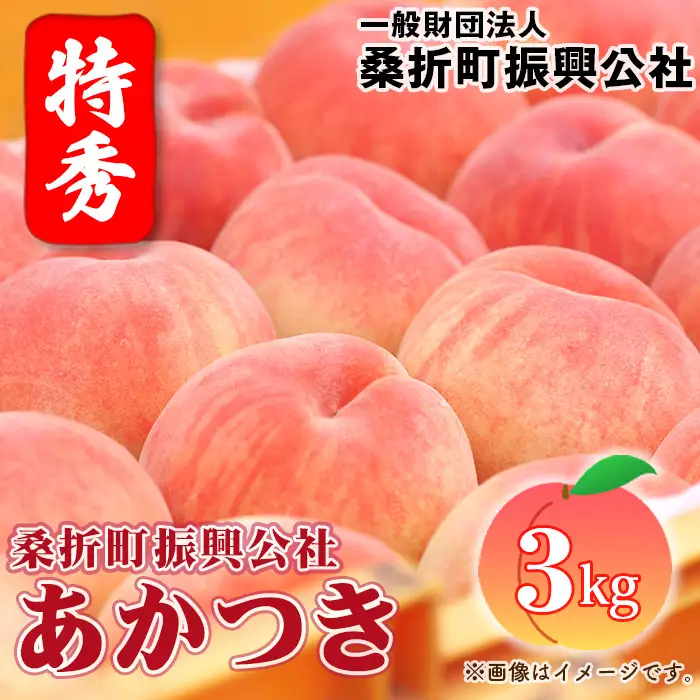 もも【あかつき・2026年産】特秀3kg（9～11玉）桑折町振興公社 ／ もも モモ 果物 フルーツ 旬 甘い 甘み ジューシー 果肉 果汁 新鮮 フレッシュ デザート おいしい 産地直送 桑折 こおり こおりまち 福島県 特産品 No.181