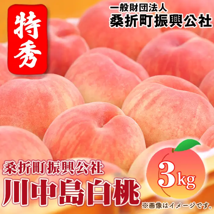 もも【川中島白桃・2026年産】特秀3kg（9～11玉）桑折町振興公社 ／ もも モモ 果物 フルーツ 旬 甘い 甘み ジューシー 果肉 果汁 新鮮 フレッシュ デザート おいしい 産地直送 桑折 こおり こおりまち 福島県 特産品 No.184