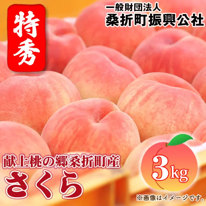 もも【さくら・2026年産】特秀3kg（8～11玉）桑折町振興公社　桃 ／ モモ 果物 くだもの フルーツ 甘味 果汁 ジューシー 桑折 こおり こおりまち 福島県 特産品 ／ もも モモ 果物 フルーツ 旬 甘い 甘み ジューシー 果肉 果汁 新鮮 フレッシュ デザート おいしい 産地直送 桑折 こおり こおりまち 福島県 特産品 No.187