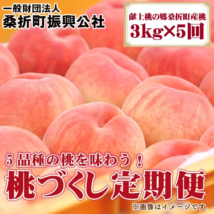 桃づくし定期便5品種【2026年産・献上桃の郷桑折町産もも3kg×5回】 ／ もも モモ 果物 フルーツ 旬 甘い 甘み ジューシー 果肉 果汁 新鮮 フレッシュ デザート おいしい 産地直送 桑折 こおり こおりまち 福島県 特産品 No.199