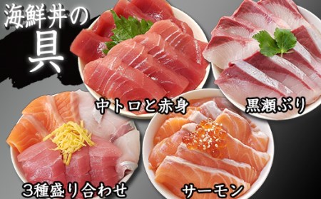 簡単 流水解凍 海鮮丼の具！ 3種 盛り合わせ 1人前 中トロと赤身 1人前 サーモン 1人前 黒瀬ぶり 1人前 【十六家】 刺身 刺し身 さしみ 生食 鮪 まぐろ マグロ だてまぐろ 本鮪 本まぐろ 本マグロ 中トロ 中とろ トロ とろ 赤身 サーモン かんぱち カンパチ 鰤 ぶり ブリ 時短 人気 おすすめ