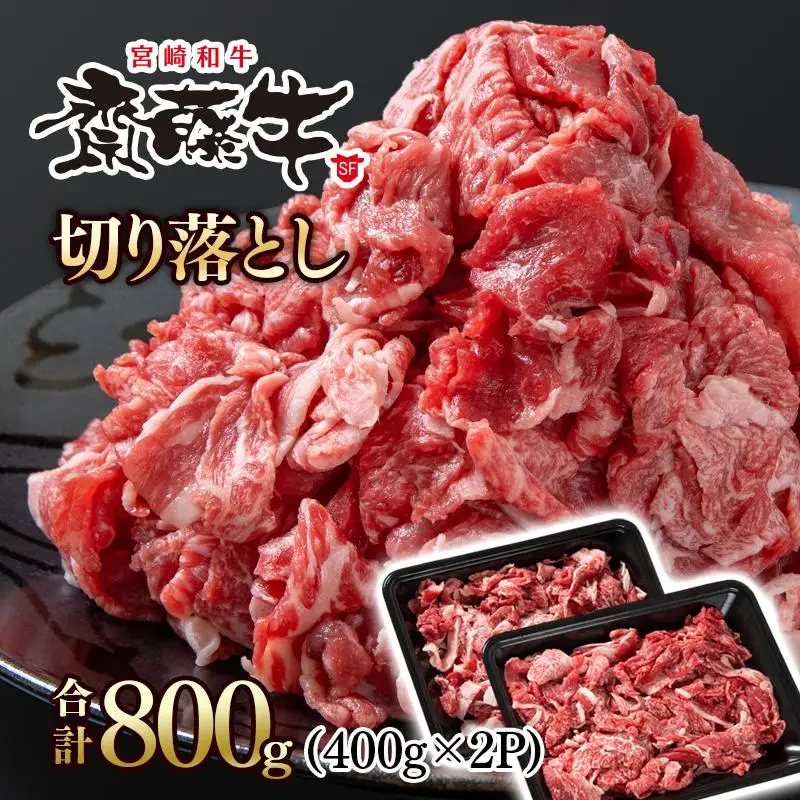 黒毛和牛「宮崎和牛 齋藤牛」切り落とし 800g（400g×2パック） 国産牛肉 小分け＜5-6a＞