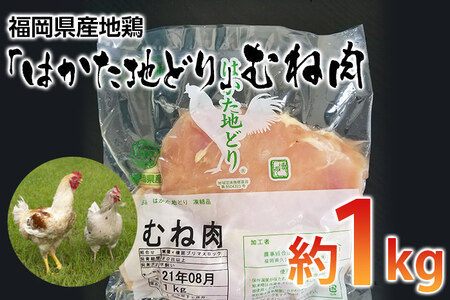 福岡県産地鶏「はかた地どり」むね肉(約1kg)　 お取り寄せグルメ　お取り寄せ 福岡 お土産 九州 ご当地グルメ 福岡土産 取り寄せ 福岡県 食品