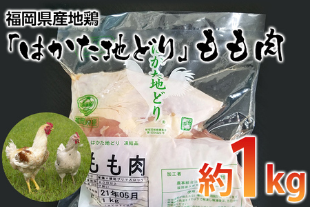 福岡県産地鶏「はかた地どり」もも肉(約1kg) お取り寄せグルメ お取り寄せ 福岡 お土産 九州 ご当地グルメ 福岡土産 取り寄せ 福岡県 食品