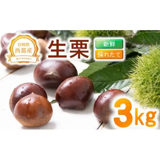 【先行予約】新鮮朝どれ生栗 3kg 西都市産＜49-6a＞