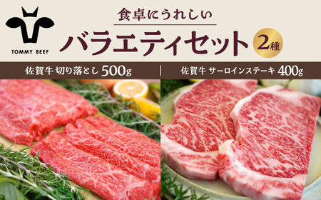 佐賀牛バラエティセット（切り落とし（計500g）＆サーロインステーキ（計400g））/ 牛肉切り落とし ステーキ [IAH202]
