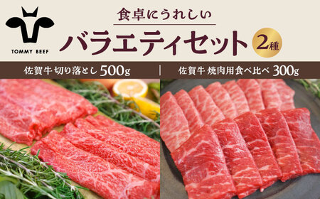 佐賀牛バラエティセット（切り落とし 500g＆焼肉用食べ比べ 300g）/ 牛肉切り落とし [IAH204]