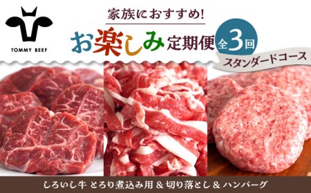 【3回定期便】家族向け お楽しみ 定期便 / 牛肉 [IAH209]