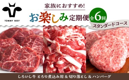 【6回定期便】家族向け お楽しみ 定期便/ 牛肉 [IAH210]