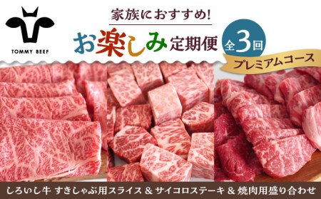 【3回定期便】家族向け お楽しみ 定期便プレミアム/ 牛肉 [IAH212]