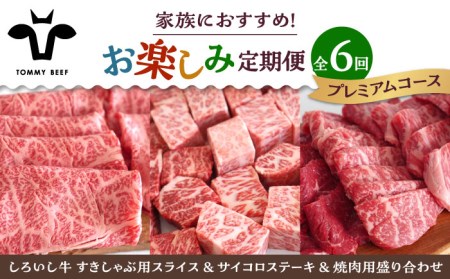 【6回定期便】家族向け お楽しみ 定期便プレミアム/ 牛肉 [IAH213]