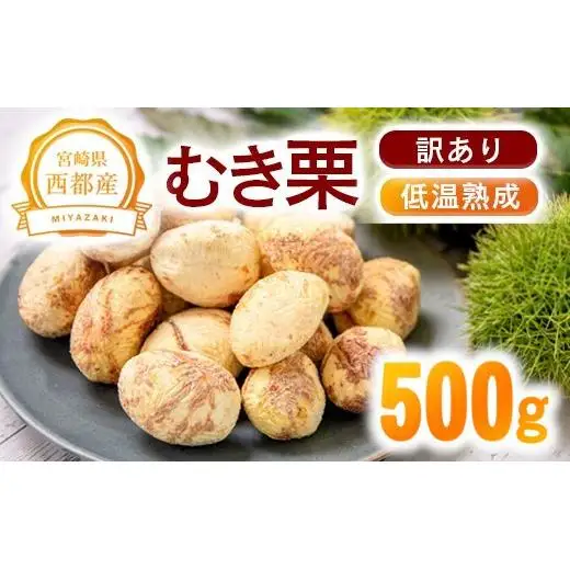 【訳あり】低温熟成栗 国産むき栗 500g 糖度2～3倍  西都市産＜49-3a＞