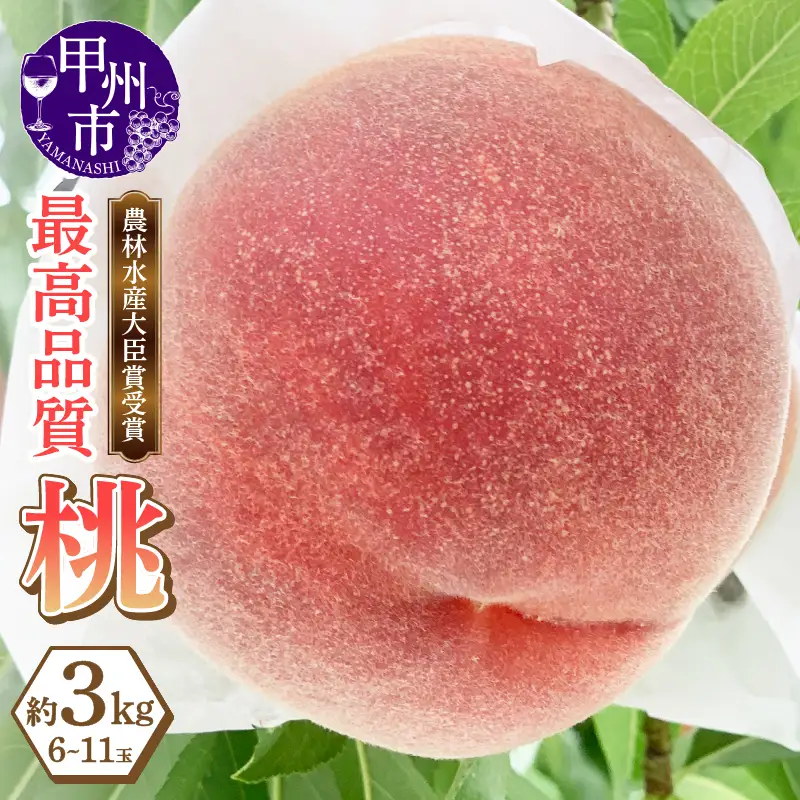 農林水産大臣賞受賞経験のある最高品質の桃を感謝を込めて朝どれでお贈りします！約3kg（6～11玉）【2026年発送】（LMS）B18-415 桃 フルーツ