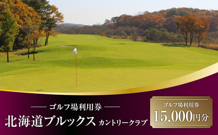 E06 北海道ブルックスカントリークラブ ゴルフ場利用券 15,000円分　T042-FT10 体験 チケット