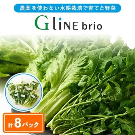 G Line brio レタス8パックセット【配送不可地域：離島】【1121142】