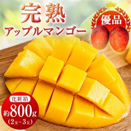 【2026年6月中旬から順次発送・優品】完熟アップルマンゴー約800g(2玉～3玉)【配送不可地域：離島】【1390897】