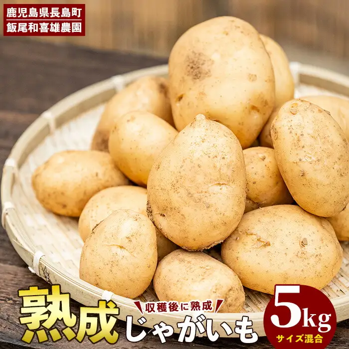 【先行予約】和喜雄さんといつみさんの熟成じゃがいも5kg【飯尾和喜雄農園】iio-7085