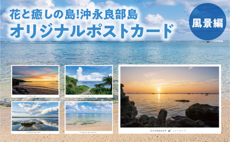 花と癒しの島！沖永良部島オリジナルポストカード（風景編） W060-001u 雑貨 日用品