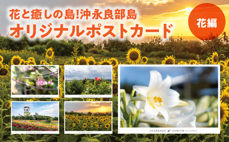 花と癒しの島！沖永良部島オリジナルポストカード（花編） W060-002u 雑貨 日用品