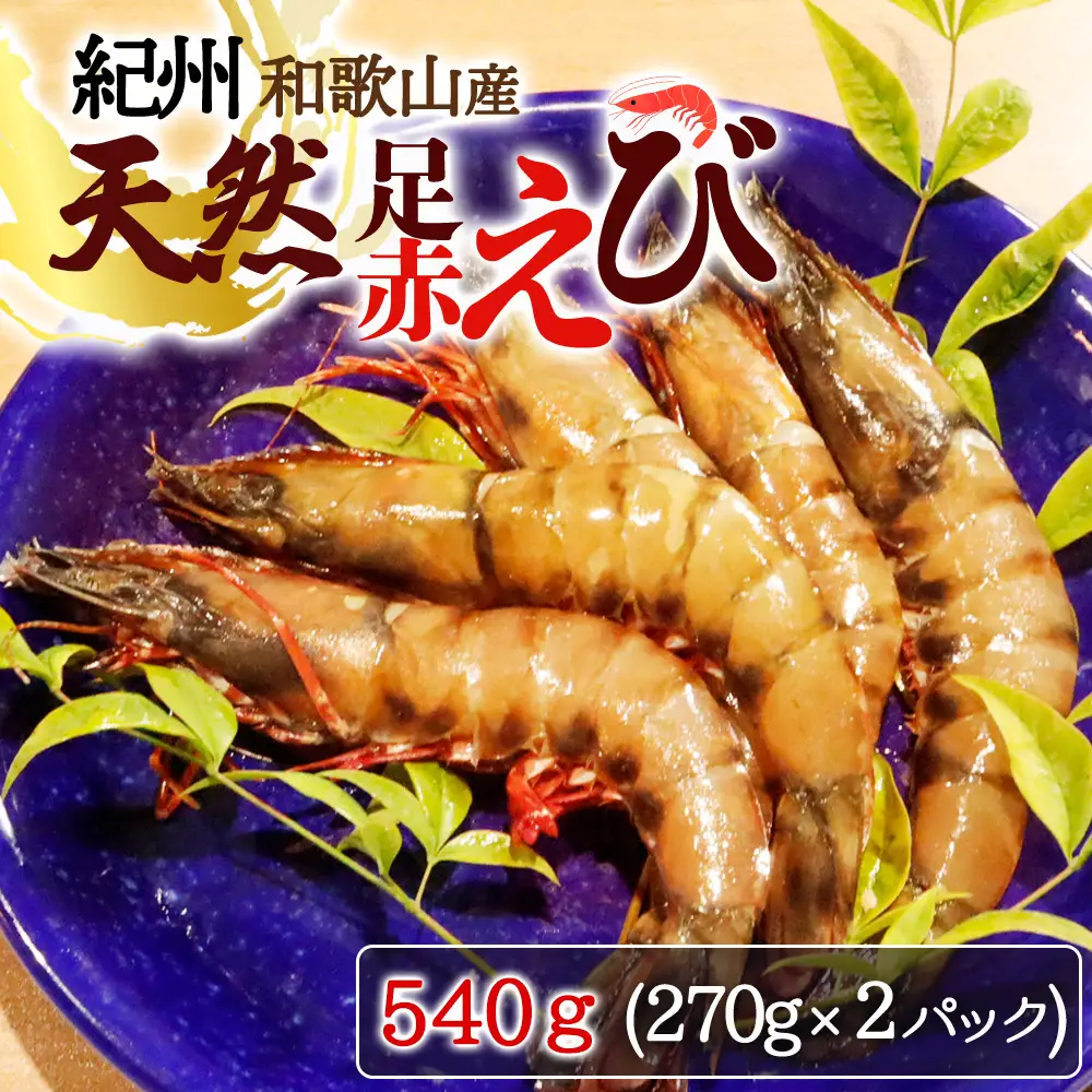 紀州和歌山産天然足赤えび540g（270g×2パック）化粧箱入 ※2026年12月上旬〜2027年2月上旬頃順次発送予定（お届け日指定不可）／海老 エビ えび クマエビ 足赤 天然【uot772A】