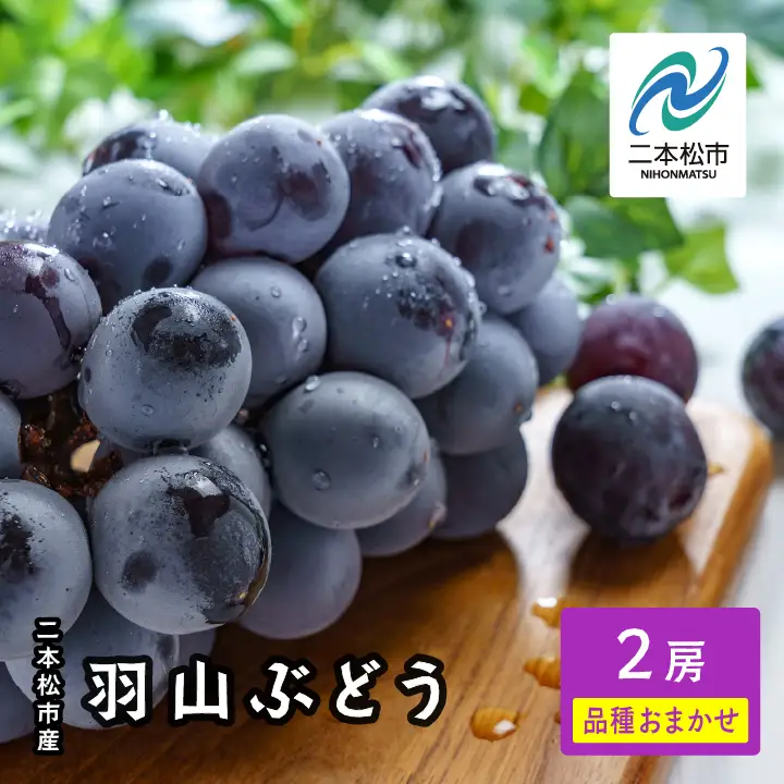 《2026年9月初旬以降順次発送》羽山のぶどう 品種おまかせ 2房（1.4kg）【羽山果樹組合】