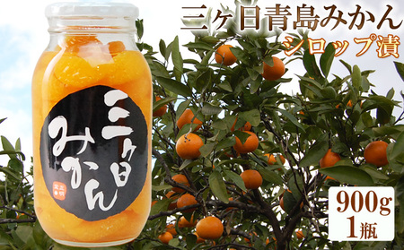 三ヶ日 青島みかん エキストラライト シロップ漬 1本（900g×1本）【配送不可：北海道・沖縄・離島】 加工食品 瓶詰 果物 フルーツ コク 甘味 人気 特大 手作業 子供 大人 安心 