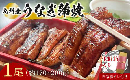 うなぎ 蒲焼1本九州産 | 豊後高田市 うなぎ