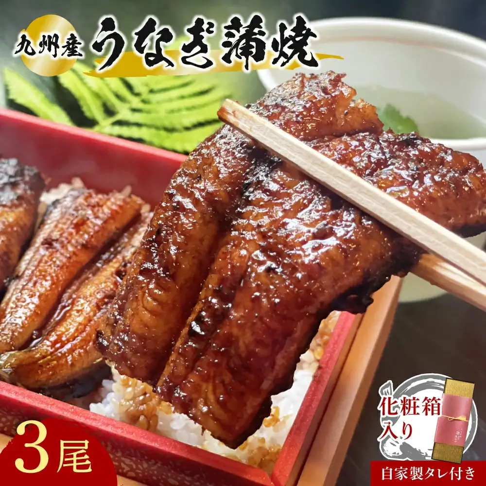 うなぎ 蒲焼3本九州産 | 豊後高田市 うなぎ