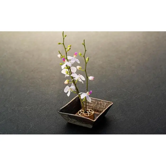 花をみずみずしく長持ち！銅合金製 針のない剣山と金属釉 水盤のセット（Garden Sサイズ）