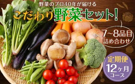 【定期便 毎月コース】 野菜のプロ40年が届けるこだわり野菜セット！ 7～8品目 詰め合わせ 【2026年1月上旬より発送開始】