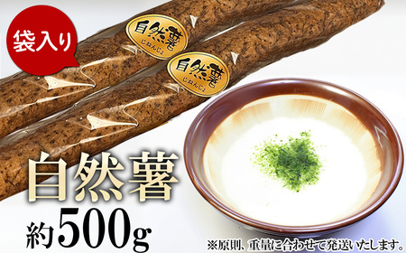 自然薯 約500g ( カット済 ) ※重量（ 約500g ）に合わせてお届け 2025年12月～2026年3月ごろ発送予定