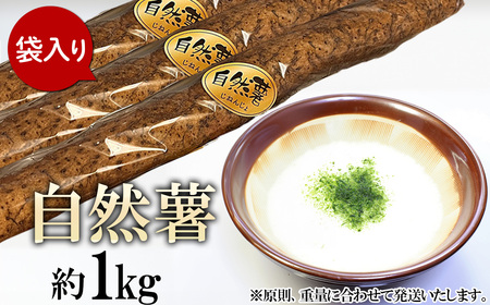 自然薯 約1kg ( カット済 ) ※重量（ 約1kg ）に合わせてお届け 2025年12月～2026年3月ごろ発送予定