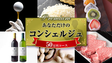 あなただけの プレミアム コンシェルジュ コース ( 50万円 )