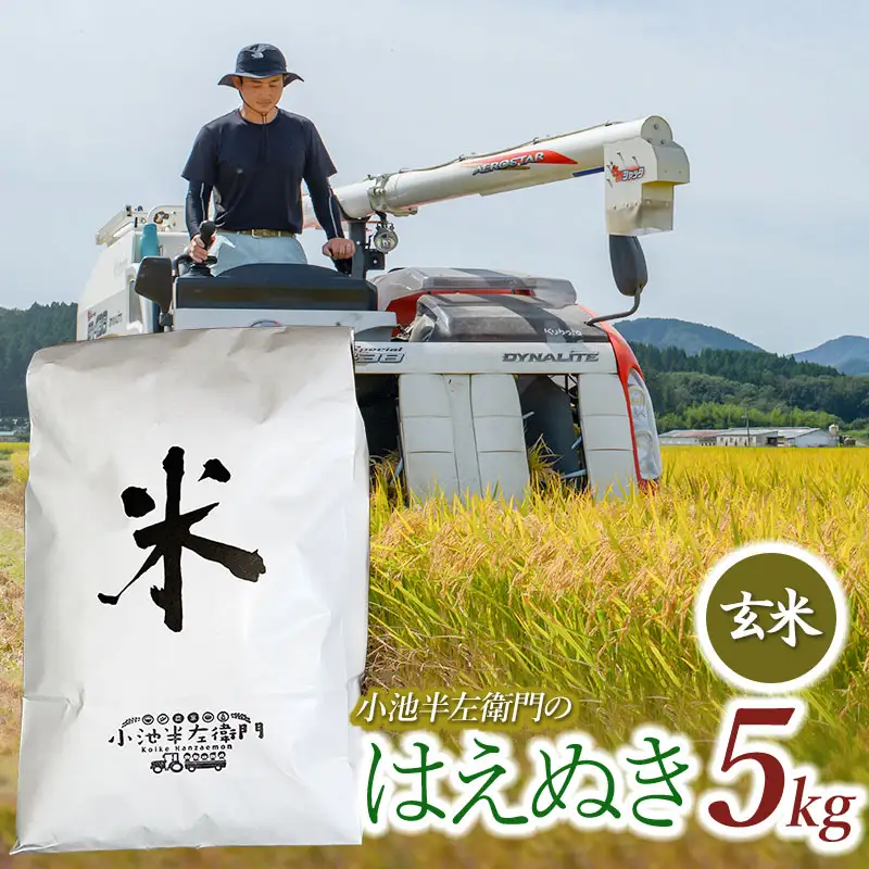 数量限定 【令和7年産】 山形県庄内産 小池半左衛門のお米 はえぬき 玄米 5kg (5kg×1袋)