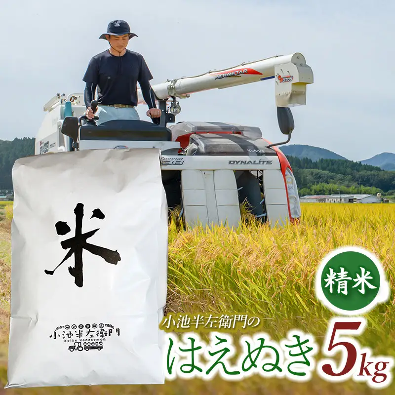 数量限定 【令和7年産】 山形県庄内産 小池半左衛門のお米 はえぬき 精米 5kg (5kg×1袋)