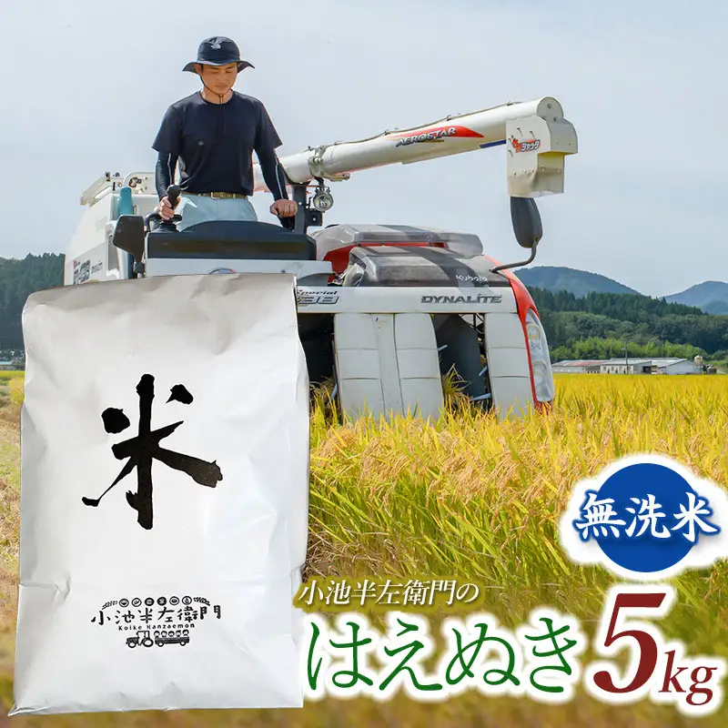 数量限定 【令和7年産】 山形県庄内産 小池半左衛門のお米 はえぬき 無洗米 5kg (5kg×1袋)