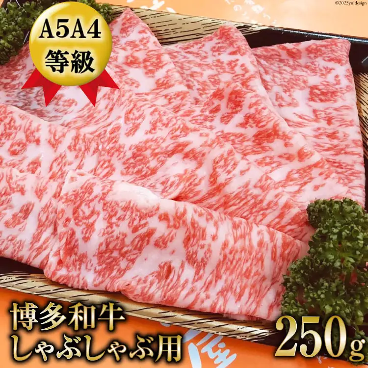 【数量限定】博多和牛 ロース しゃぶしゃぶ用 250g / 筑前屋 / 福岡県 筑紫野市 [21760385]