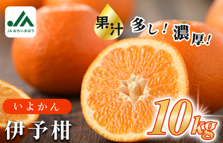 【先行予約】伊予柑約10kg【KB02080】2027年1月初旬～2月末に順次発送予定 メガ盛り たっぷり 10kg 期間限定 国産 人気商品 いよかん 果物ギフト おいしい 美味しい 愛媛産 みかん 柑橘 フルーツ 果物 甘い ふるさと フルーツ JA【毎年売切れ】