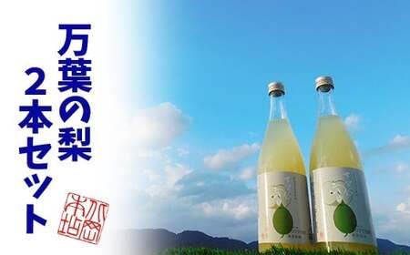 Y227 鳥取県産梨リキュール「万葉の宴」2本セット
