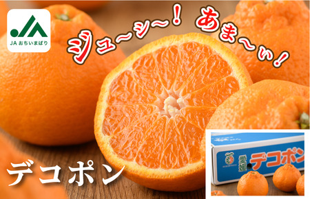 【先行予約】デコポン L～3L 18～24玉 JAおちいまばり　2027年2月中旬～3月中旬発送【KB02510】