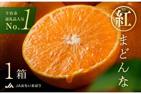 【先行予約】 紅まどんな 今治 3L～L 10～15玉 化粧箱入り